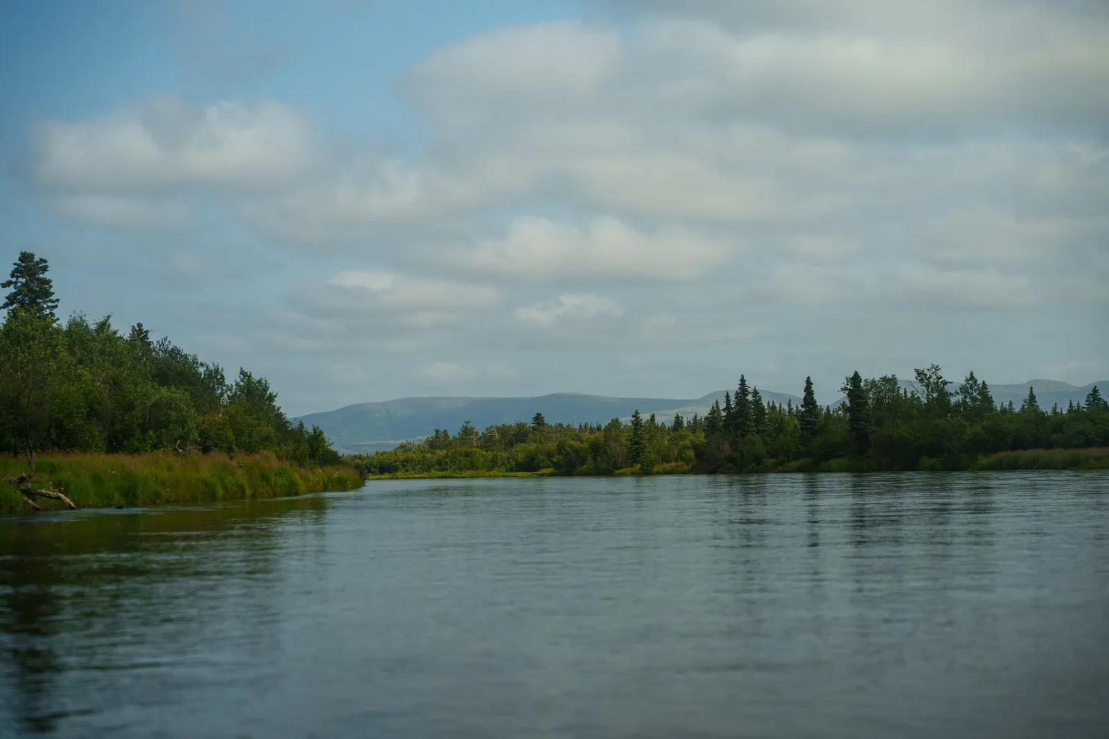 The Koktuli River winding through remote Alaskan wilderness