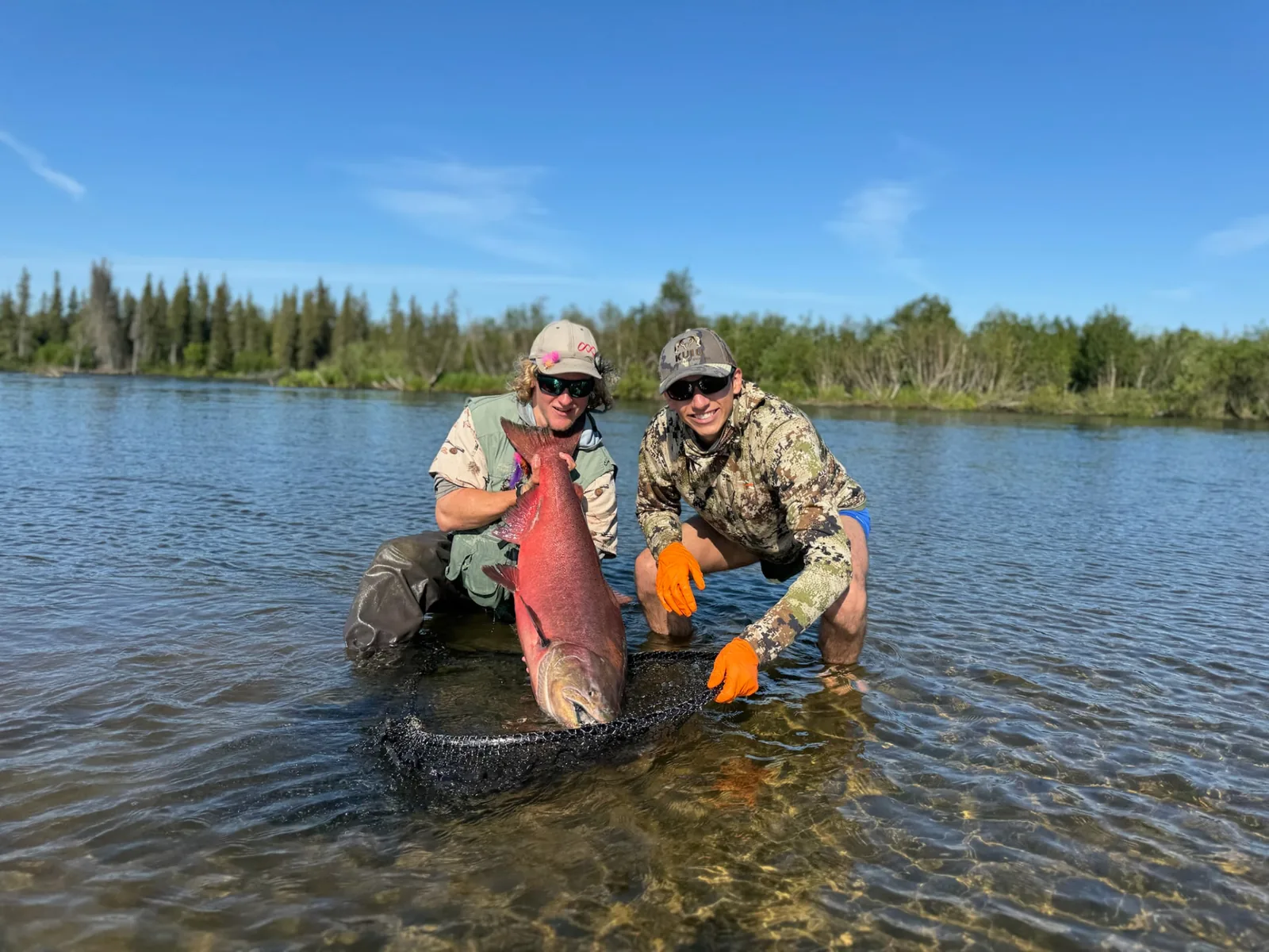 Two anglers kneeling in the river holding a huge red king salmon in a landing net