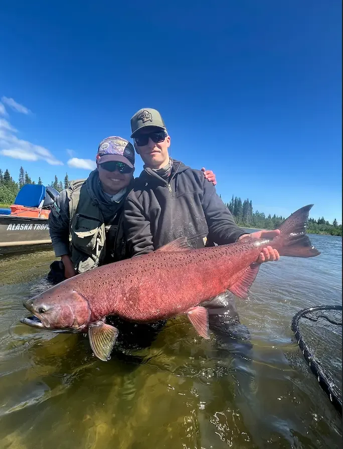 Two guides holding a huge spawning king salmon in the shallows