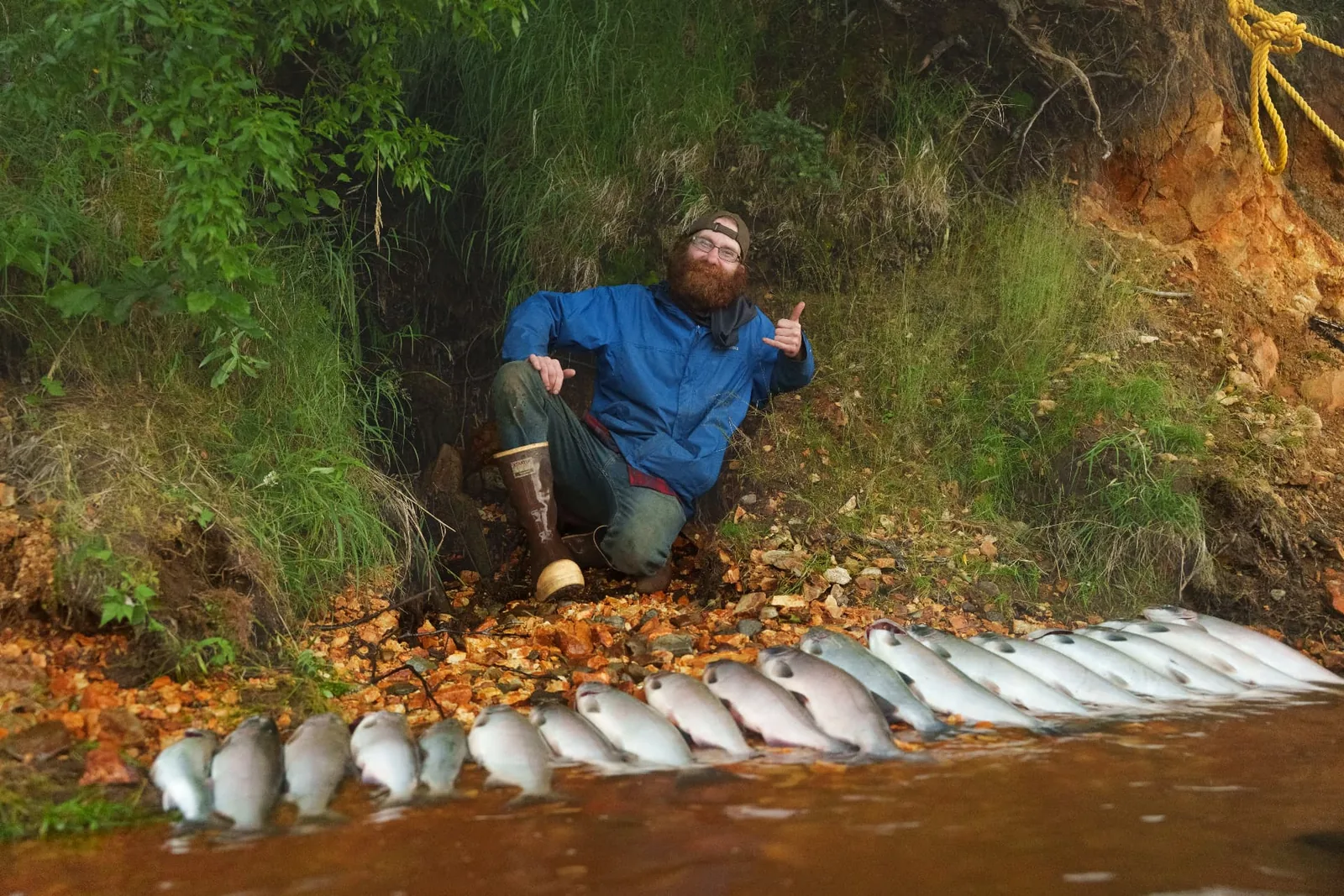 Angler kneeling on the rocky riverbank beside a lineup of salmon caught at the shore