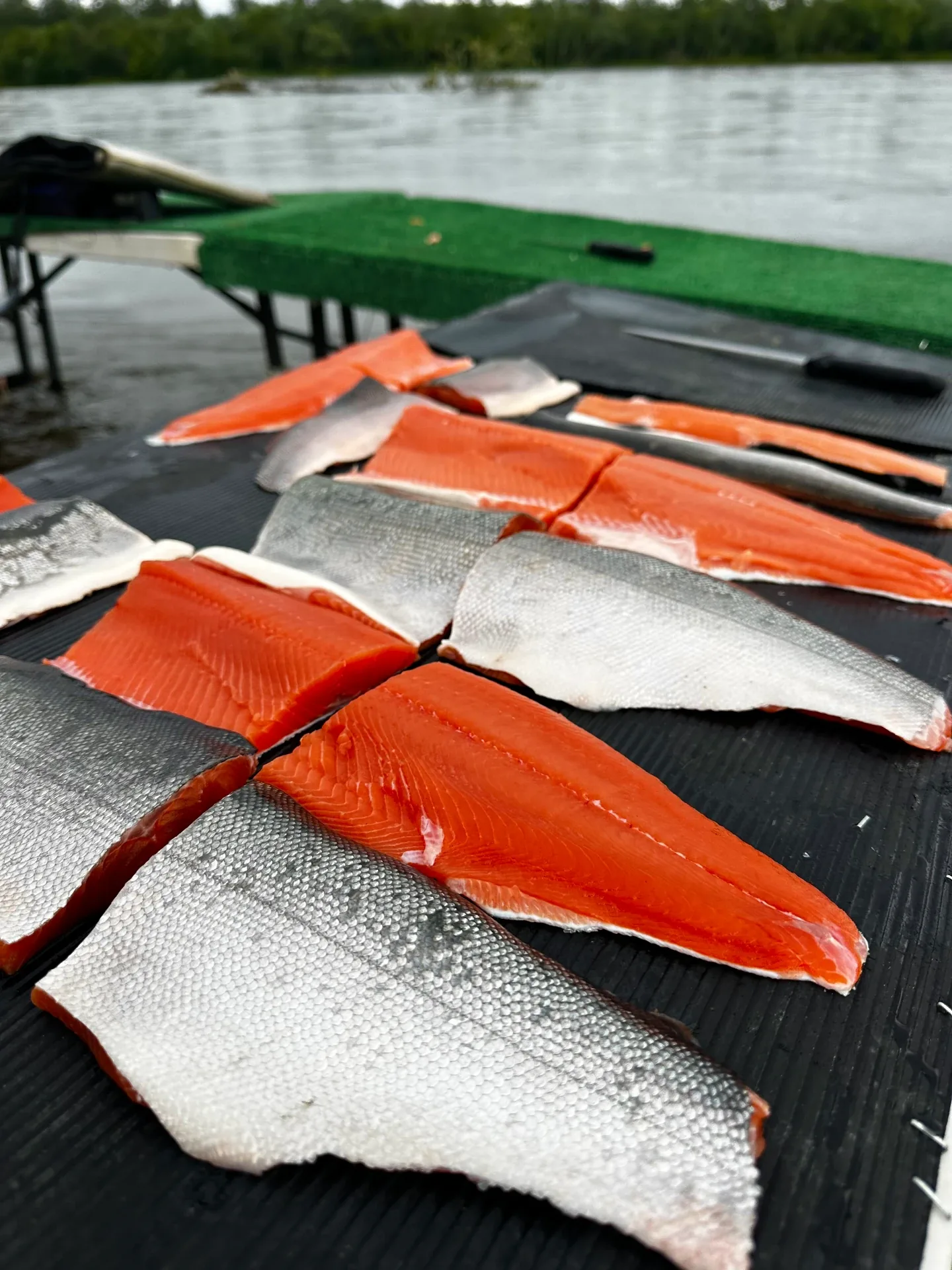 Fresh salmon fillets laid out on a cutting table beside the river